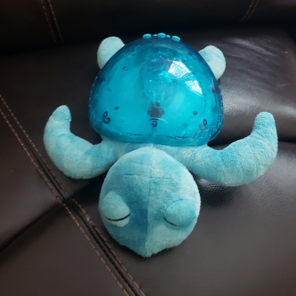 Tranquil Turtle